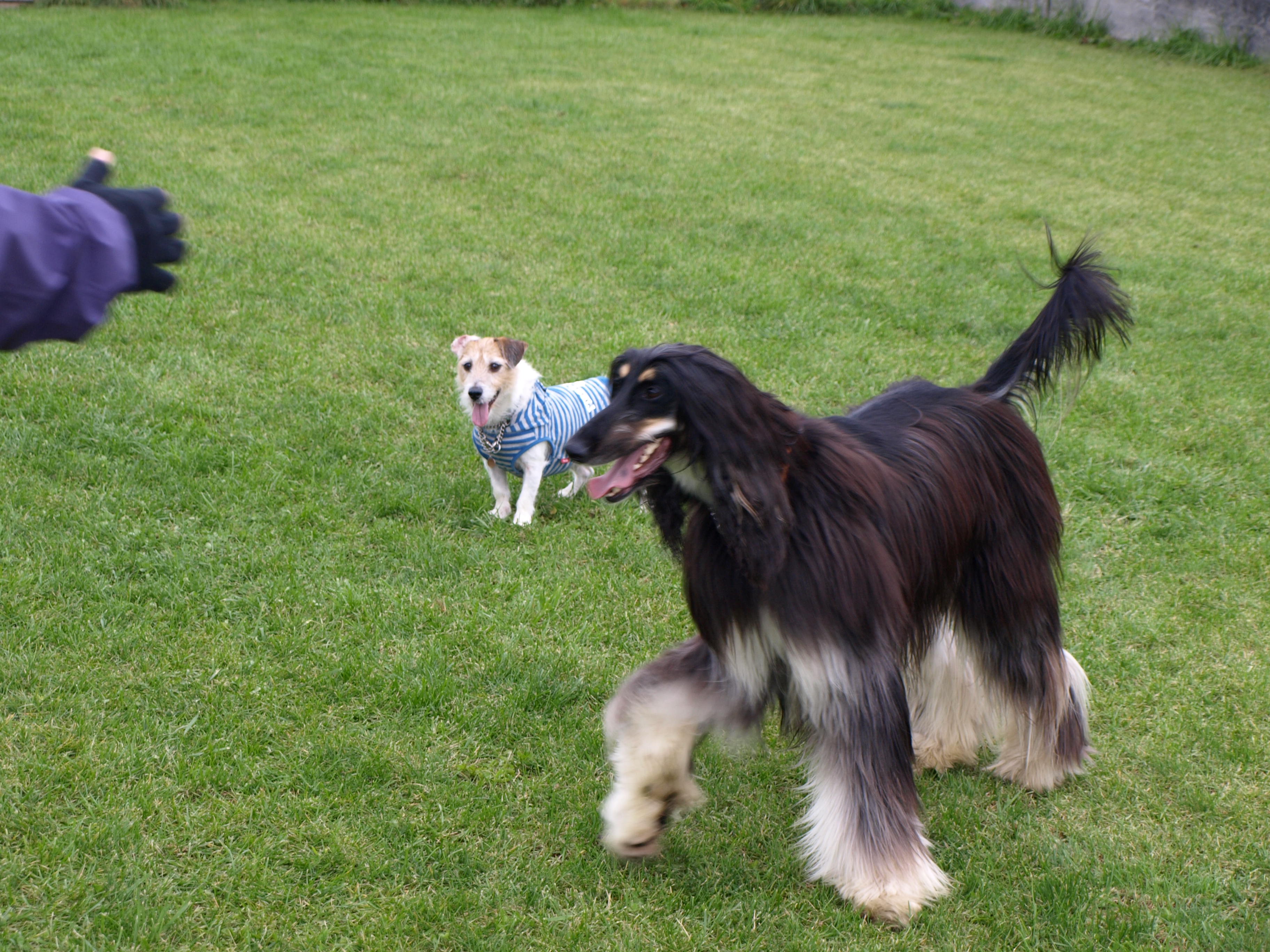 �C���[�W04